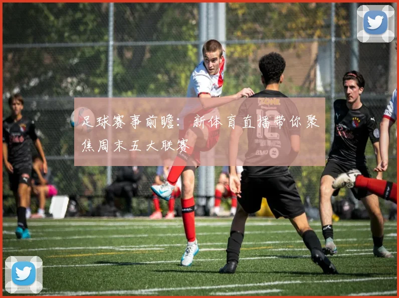 足球赛事前瞻：新体育直播带你聚焦周末五大联赛