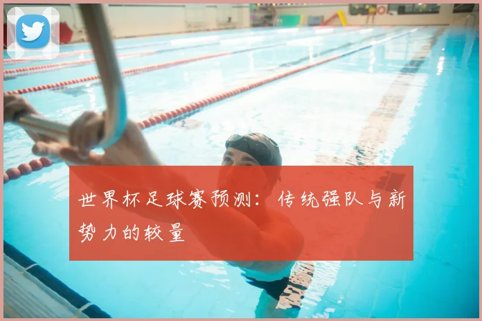 世界杯足球赛预测：传统强队与新势力的较量