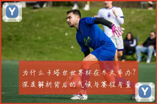为什么卡塔尔世界杯在冬天举办?深度解析背后的气候与赛程考量