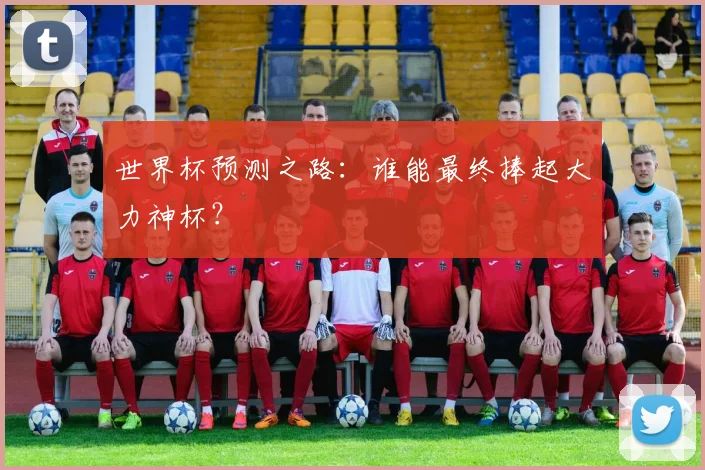 世界杯预测之路：谁能最终捧起大力神杯？