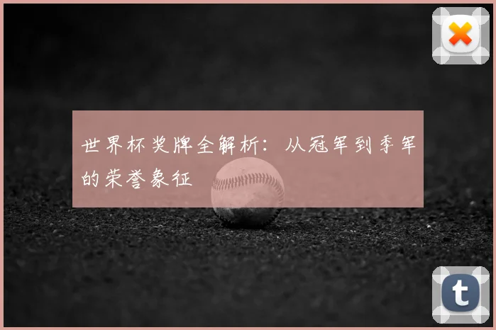 世界杯奖牌全解析：从冠军到季军的荣誉象征