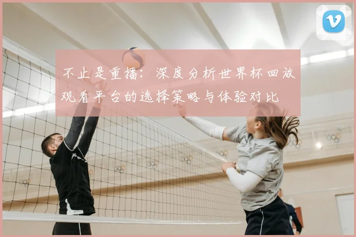 不止是重播:深度分析世界杯回放观看平台的选择策略与体验对比