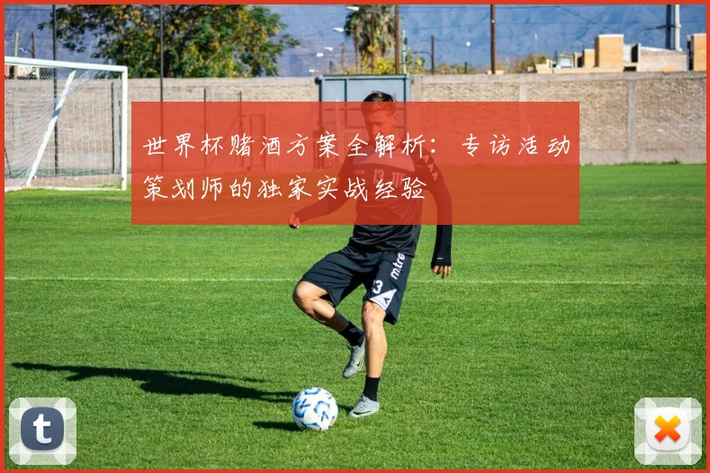 世界杯赌酒方案全解析:专访活动策划师的独家实战经验