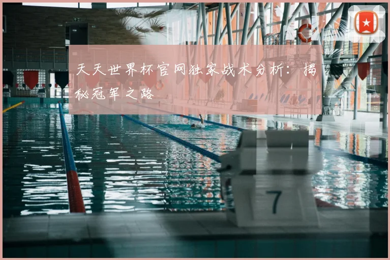天天世界杯官网独家战术分析：揭秘冠军之路