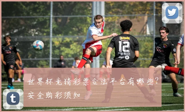 世界杯竞猜彩票合法平台有哪些？安全购彩须知