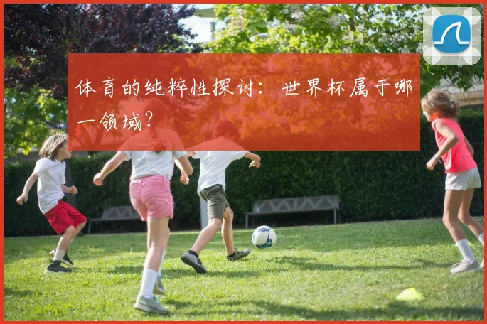 体育的纯粹性探讨：世界杯属于哪一领域？