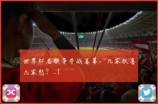 世界杯名额争夺战落幕，几家欢喜几家愁？_1