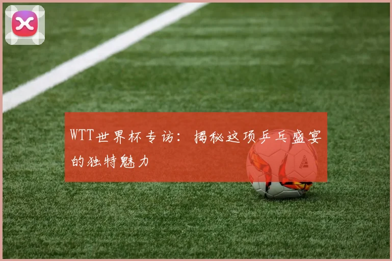 WTT世界杯专访：揭秘这项乒乓盛宴的独特魅力